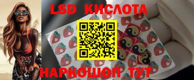 jwh Будённовск