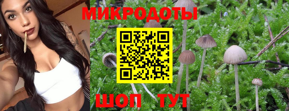 Галлюциногенные грибы ЛСД Краснодар