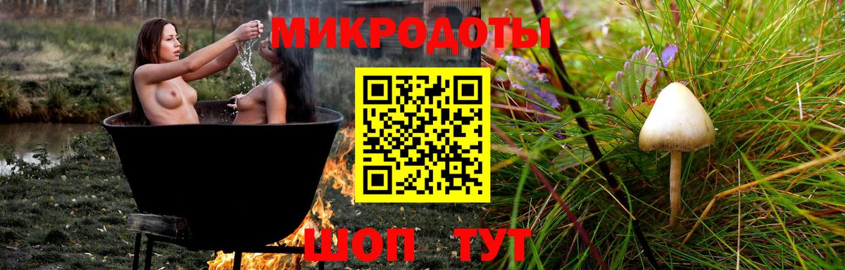Галлюциногенные грибы MAGIC MUSHROOMS  Вход с VPN  Краснодар  Галлюциногенные грибы GOLDEN TEACHER 